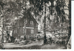 Lößnitz Im Erzgebirge, Berggaststätte Neu-Friedrichsruh, Gelaufen 1974 - Lössnitz