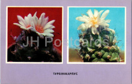 Turbinicarpus - Cacti - Cactus - Flowers - 1977 - Ukraine USSR - Unused - Cactus