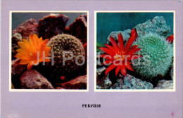 Rebutia - Cacti - Cactus - Flowers - 1977 - Ukraine USSR - Unused - Sukkulenten