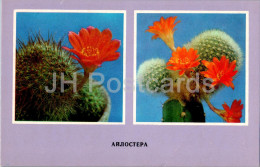 Aylostera - Cacti - Cactus - Flowers - 1977 - Ukraine USSR - Unused - Sukkulenten