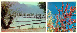 Fergana And Fergana Valley - Rice Fields In Sokh Valley - Almond Blossoms - 1974 - Uzbekistan USSR - Unused - Ouzbékistan