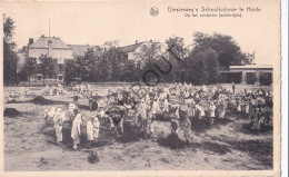 Postkaart/Carte Postale - Heide-Kalmthout - Diesterweg's Schoolkolonie (C3720) - Kalmthout