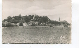 Delcampe - CPSM PF - BASSE INDRE -  Côté Est Sur Les Prés - - Basse-Indre