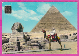 290085 / Egypt - Giza - Great Sphinx , Colossal Limestone Statue & Pyramid Of Khafren Camel Man PC 517 Egypte Agypten - Sfinge