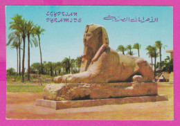 290086 / Egypt - Giza - Sphinx , Egyptian Pyramids PC Egypte Agypten Egitto Egipto - Sphynx