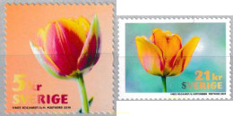 601625 MNH SUECIA 2019 FLORES - Usados