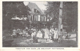 PAYS BAS - Theetuib Van Ouds "de Melkkop" Rotterdam - Carte Postale Ancienne - Altri & Non Classificati