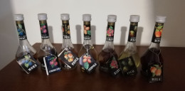 7 Mignon  Liquore  I CENTENARI  Da Collezione - Magnifiche Con Frutta Vera All'interno - Miniflesjes