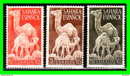 ESPAÑA COLONIAS ESPAÑOLAS (SAHARA ESPAÑOL – AFRICA ) SERIE SELLOS DEL AÑO 1951 DIA DEL SELLO  - NUEVOS - - Sahara Español