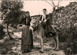 CPM Type Corse Jeunes Villageoises à Dos D'ane En 1957 Oblitération De LA PORTA - Europe