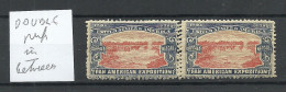 USA 1901 Pan American Exposition 1901 Advertising Stamp Reklamemarke As Pair MNH Variety = Double Perforation - Unused Stamps