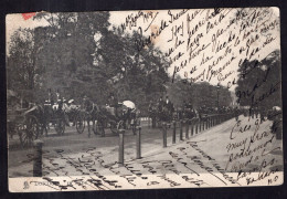 Great Britain - 1904 - London - Hyde Park - Hyde Park