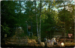 Alabama Bankhead National Forest Hepsidam Moonshine Still Replica And More - Sonstige & Ohne Zuordnung