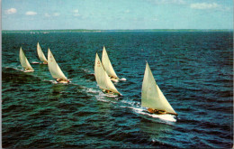 South Carolina Charleston Sailing Races Off The Battery - Charleston