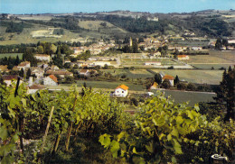 38 - Virieu Sur Bourbre - Vue Générale - Virieu