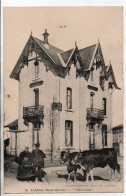 Carte Postale Ancienne L'Absie - Villa Léon - Vaches - L'Absie