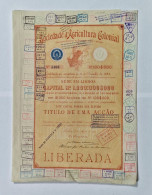 PORTUGAL- LISBOA- Sociedade D'Agricultura Colonial. Titulo De Uma Acção Rs:100$000 - Nº 5466 - 02AGO1900 - Agricultura