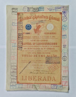 PORTUGAL- LISBOA- Sociedade D'Agricultura Colonial. Titulo De Uma Acção Rs:100$000 - Nº 5466 - 02AGO1900 - Agriculture