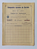 PORTUGAL- LISBOA - Companhia Agricola Da Cariata. Titulo De Uma Acção 100$00 - Nº 1225 - 06FEV1919 - Landwirtschaft