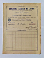 PORTUGAL- LISBOA - Companhia Agricola Da Cariata. Titulo De Uma Acção 100$00 - Nº 1225 - 06FEV1919 - Landbouw