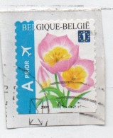 Belgique Sur Fraguement - Used Stamps