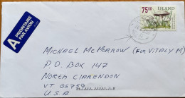 ICELAND 1999, AIRMAIL COVER USED TO USA, TUNETISVEPPUR,NATURE GRASS STAMP FUNGI, - Lettres & Documents