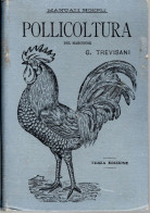 12 - Manuale Hoepli, Pollicoltura, Terza Edizione 1896 - Libros Antiguos Y De Colección