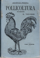 12 - Manuale Hoepli, Pollicoltura, Terza Edizione 1896 - Alte Bücher