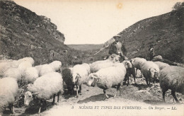 Types Scènes Des Pyrénées * Un Berger Du Pays Et Son Troupeau De Moutons - Other & Unclassified