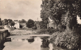 Grand Lucé * Mimi Plage Et Ses Environs * Le Grand Lucé Vu Du Moulin * Minoterie - Autres & Non Classés