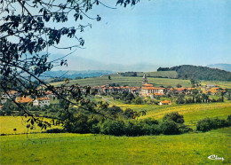 64 - Aïnhoa - Vue Générale Du Village - Ainhoa