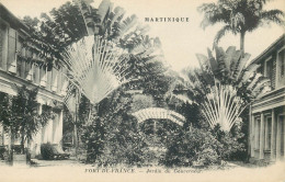 MARTINIQUE  FORT DE FRANCE  Jardin Du Gouverneur - Fort De France
