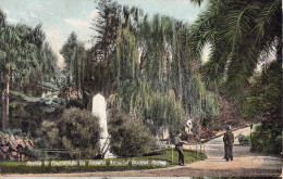 SYDNEY - Obelisk - Botanical Gardens - Carte Postale Ancienne - Andere & Zonder Classificatie