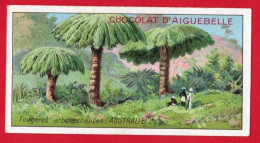 Delcampe - Chromo Chocolat D'Aiguebelle. Série Des Arbres Extraordinaires. Fougères Arborescentes, Australie. - Aiguebelle