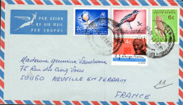 AFRIQUE DU SUD AFFRANCHISSEMENT COMPOSE SUR LETTRE  POUR LA FRANCE 1973 - Lettres & Documents