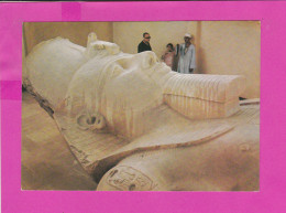 290110 / Egypt - Museum - Mit Rahina - Colossal Limestone Statue Of Ramses II PC Photoizdat 81 Bulgaria Egypte - Musea