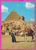 290114 / Egypt - Giza - The Great Sphinx  And Khephren Khafre Or Of Chephren Pyramid Camel Men PC 68 Egypte Agypten - Sphinx