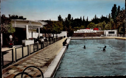 SAIDA   ( ALGERIE )   LA PISCINE MUNICIPALE - Saïda