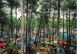 Bassin D'arcachon * Un Joli Terrain De Camping - Arcachon