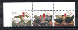 HONGRIE - HUNGARY - 2022 - HUNGARIAN CHICKEN - POULES HONGROISES - ANIMAUX DE LA FERME - - Nuevos