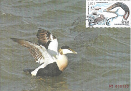 SP&M 2007 - YT PA 87 - Les Grands Migrateurs - L'eider - 02.05.2007 - Tarjetas – Máxima