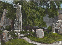 29 - FINISTERE - PLOZEVET - Les Monuments Aux Morts - Plozevet