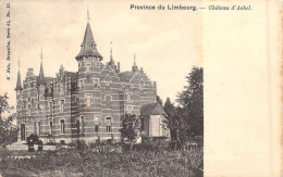 BELGIQUE - Province Du Limbourg - Château D'Achel - Carte Postale Ancienne - Autres & Non Classés