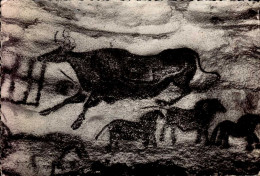 MONTIGNAC-SUR-VEZERE  ( DORDOGNE )  GROTTE DE LASCAUX . DIVERTICULE PAROI GAUCHE  : VACHE A TETE NOIRE ET A CORPS ROUGE - Montignac-sur-Vézère