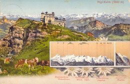 SUISSE - Rigi Kulm - Carte Postale Ancienne - Autres & Non Classés