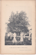 Boisney (Eure 27) IFS Du Cimetière - 2 Planches Anciennes Sortie D'un Livre - Photographié Le 11 Mai 1893 - Andere Plannen