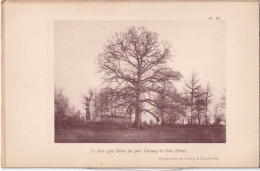 Aunay-les-Bois (Orne 61) Chênes Du Parc D'Aunay-les-Bois - 2 Planches - Photographié Le 23 Avril 1895 - Altri Disegni