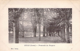 FRANCE - 80 - NESLE - Promenades Des Remparts - Ed Terlez - Carte Postale Ancienne - Nesle