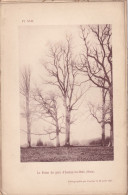 Aunay-les-Bois (Orne 61) Le Frêne Du Parc D'Aunay-les-Bois (Orne) - Planche - Photographié Le 20 Avril 1895 - Altri Disegni