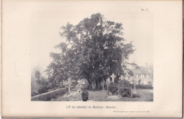 Moulines (Manche 50) L'If Du Cimetière De Moulines (Manche) - Photographié Le 25 Avril 1898 - Mortain - Otros Planes